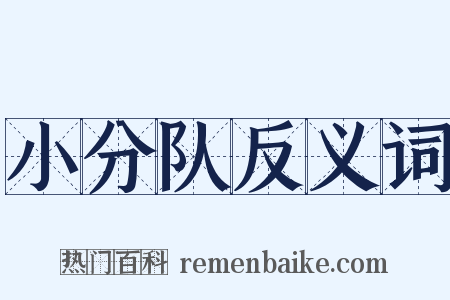 小分队反义词是什么意思的图片